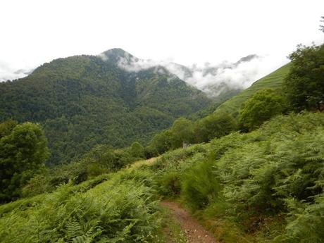 Ruta por el Bosc de Carlac desde Les. Valle de Arán