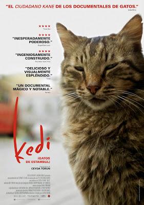 Kedi (Gatos de Estambul). La convivencia entre el hombre y el gato.