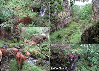 La Pumará-Los Tornos-La Foz de Covellayo-La Foz l'Apertón-Cuadrazu-Los Collaos la Pedriquina-El Picu-La Carba'l Picu