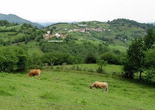 La Pumará-Los Tornos-La Foz de Covellayo-La Foz l'Apertón-Cuadrazu-Los Collaos la Pedriquina-El Picu-La Carba'l Picu