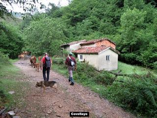 La Pumará-Los Tornos-La Foz de Covellayo-La Foz l'Apertón-Cuadrazu-Los Collaos la Pedriquina-El Picu-La Carba'l Picu