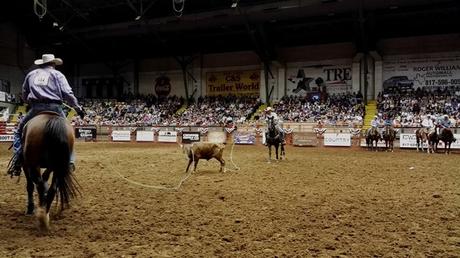 2017 ESTADOS UNIDOS (y III) 2017 ESTADOS UNIDOS (y III)