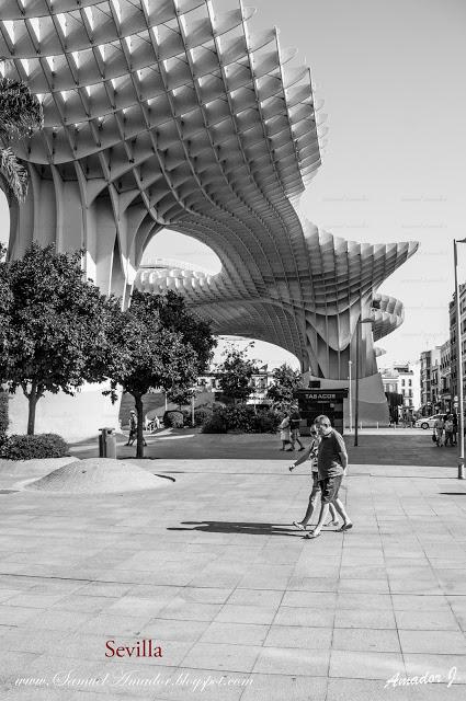 PLAZA DE LA ENCARNACIÓN DE SEVILLA