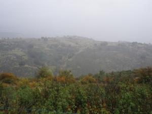 Rebelión en la Sierra Norte de Guadalajara Rebelión en la Sierra Norte de Guadalajara