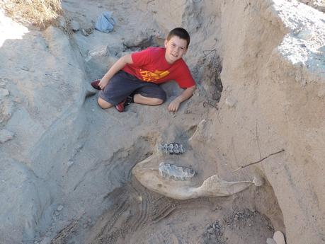 Sparks with the skull in situ.