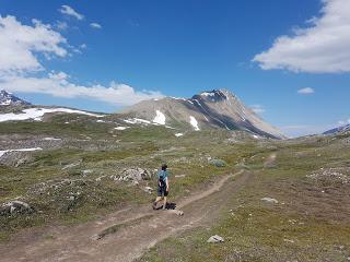 SENDERISMO EN JASPER: MOUNT WILCOX 2884 m