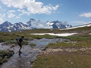 SENDERISMO EN JASPER: MOUNT WILCOX 2884 m