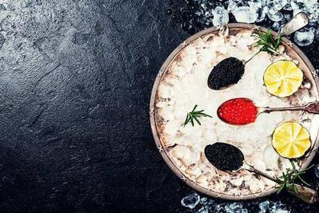 Foodie & Wellness Foodie & Wellness