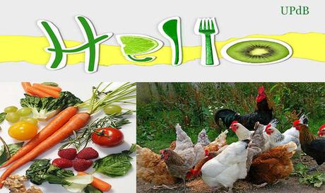 4 alimentos indispensables en tu dieta para gozar de una buena salud 4 alimentos indispensables en tu dieta para gozar de una buena salud