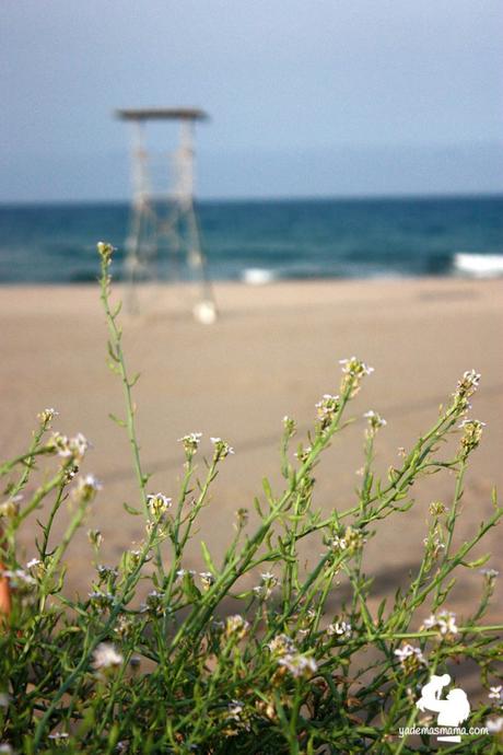 playa desierta