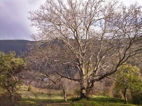 De la Borda el Vilar a los refugios de Les Comes de Rubió y el Pla de la Font