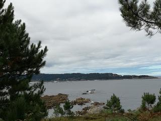 Notación científica Notación científica