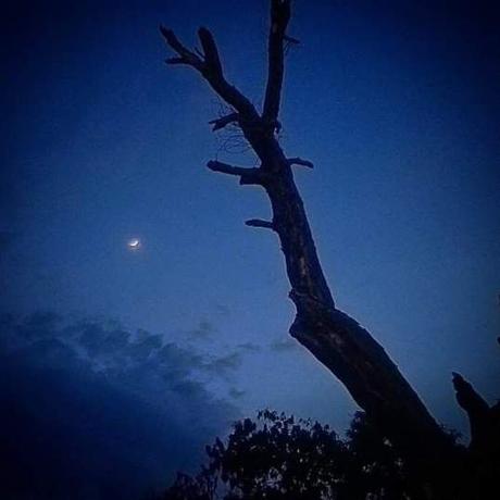 Mengua la luna, como la vida