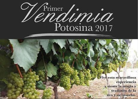 Este sábado inicia la “Primer Vendimia Potosina 2017”