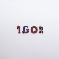 Noms amb I / Nombres con I Noms amb I / Nombres con I