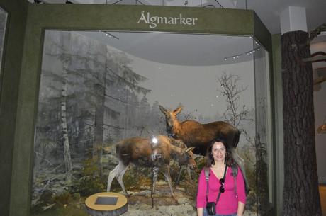 Naturhistoriska Riksmuseet