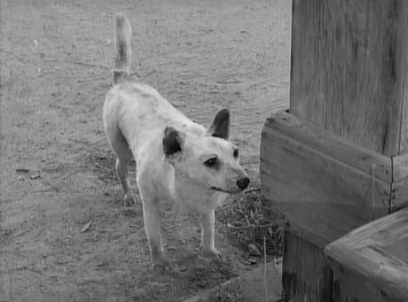 The Twilight Zone (1959) - Temporada 1 (V) The Twilight Zone (1959) - Temporada 1 (V)