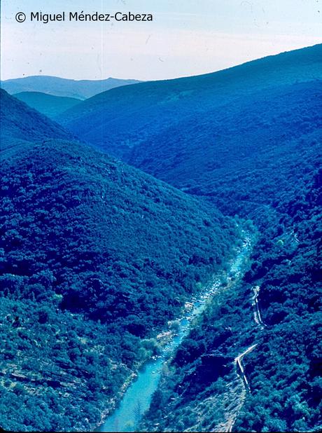 EL Rio Jébalo: De Robledo a Martinete