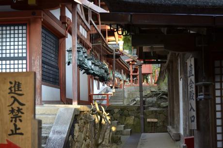 Kasuga Taisha