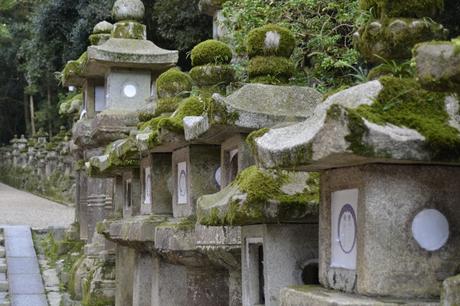 Kasuga Taisha