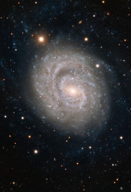 ✨La galaxia espiral NGC 1637 ✨La galaxia espiral NGC 1637