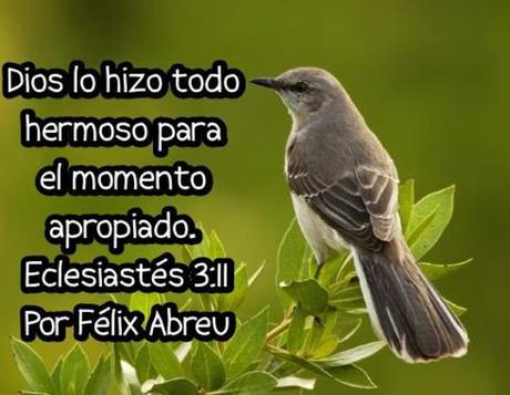 Cada Temporada de la Vida tiene un Propósito Cada Temporada de la Vida tiene un Propósito