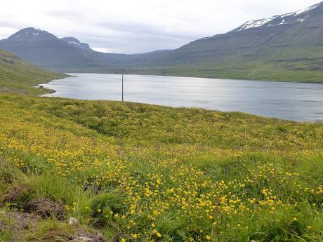 Islandia de nuevo. Los Fiordos del este