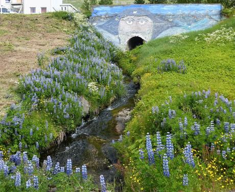 Islandia de nuevo. Los Fiordos del este