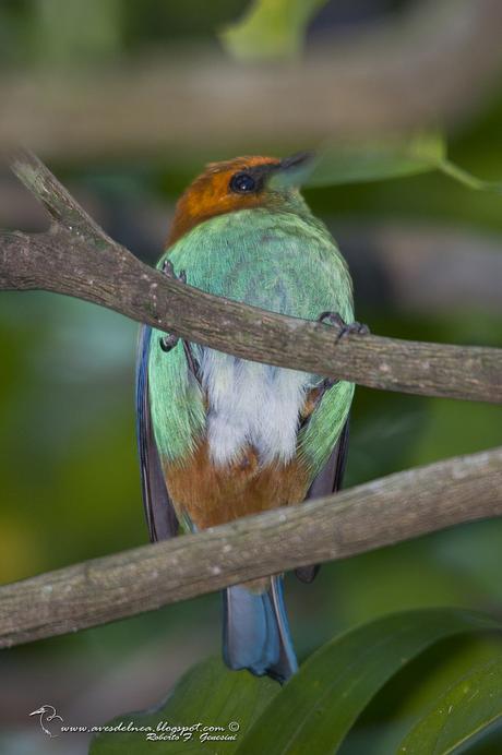 La nueva gema del Sur de Misiones DSC_1960