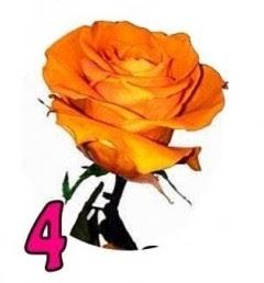 TEST DE LAS ROSAS: ELIGE LA QUE MÁS TE ATRAIGA Y TE DIRÁ ALGO DE TU PERSONALIDAD TEST DE LAS ROSAS: ELIGE LA QUE MÁS TE ATRAIGA Y TE DIRÁ ALGO DE TU PERSONALIDAD