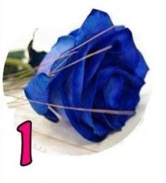 TEST DE LAS ROSAS: ELIGE LA QUE MÁS TE ATRAIGA Y TE DIRÁ ALGO DE TU PERSONALIDAD TEST DE LAS ROSAS: ELIGE LA QUE MÁS TE ATRAIGA Y TE DIRÁ ALGO DE TU PERSONALIDAD