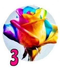 TEST DE LAS ROSAS: ELIGE LA QUE MÁS TE ATRAIGA Y TE DIRÁ ALGO DE TU PERSONALIDAD TEST DE LAS ROSAS: ELIGE LA QUE MÁS TE ATRAIGA Y TE DIRÁ ALGO DE TU PERSONALIDAD