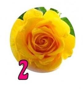 TEST DE LAS ROSAS: ELIGE LA QUE MÁS TE ATRAIGA Y TE DIRÁ ALGO DE TU PERSONALIDAD TEST DE LAS ROSAS: ELIGE LA QUE MÁS TE ATRAIGA Y TE DIRÁ ALGO DE TU PERSONALIDAD