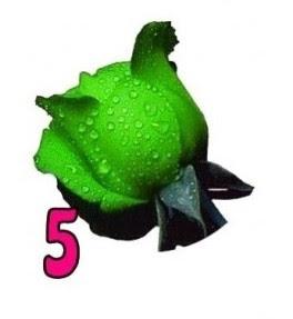 TEST DE LAS ROSAS: ELIGE LA QUE MÁS TE ATRAIGA Y TE DIRÁ ALGO DE TU PERSONALIDAD TEST DE LAS ROSAS: ELIGE LA QUE MÁS TE ATRAIGA Y TE DIRÁ ALGO DE TU PERSONALIDAD