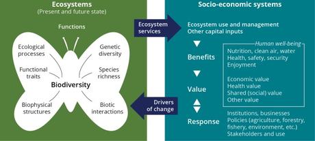 Conservar los recursos naturales es ganar el futuro Conservar los recursos naturales es ganar el futuro
