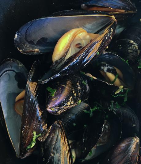 De vuelta a Tragamar, una apuesta segura en Calella De vuelta a Tragamar, una apuesta segura en Calella