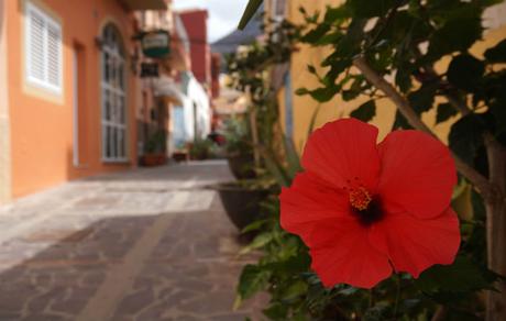 La Gomera: historia de una idealización vueltas-flores-valle-gran-rey
