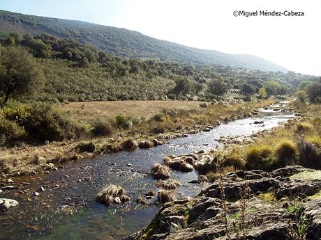 Siguiendo el Rio Jébalo por el Valle de Robledo del Mazo