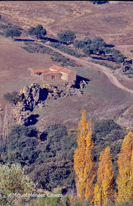 Siguiendo el Rio Jébalo por el Valle de Robledo del Mazo