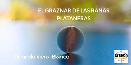 EL GRAZNAR DE LAS RANAS PLATANERAS EL GRAZNAR DE LAS RANAS PLATANERAS