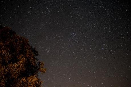 Paseo por las estrellas Paseo por las estrellas