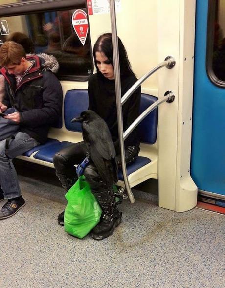 Las 10 fotos mas graciosas del mundo de gente extraña en el metro