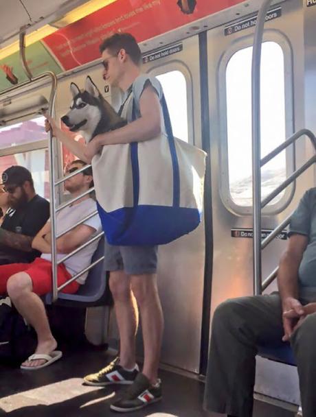 Las 10 fotos mas graciosas del mundo de gente extraña en el metro