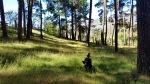 El Pinar de Rodiezmo & un día de sol