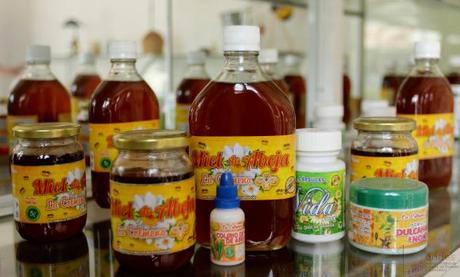 ECUADOR: La apicultura, una actividad que ‘extrae’ las bondades de las abejas ECUADOR: La apicultura, una actividad que ‘extrae’ las bondades de las abejas