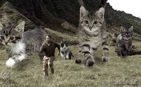10 Imagenes graciosas de Gatos gigantes