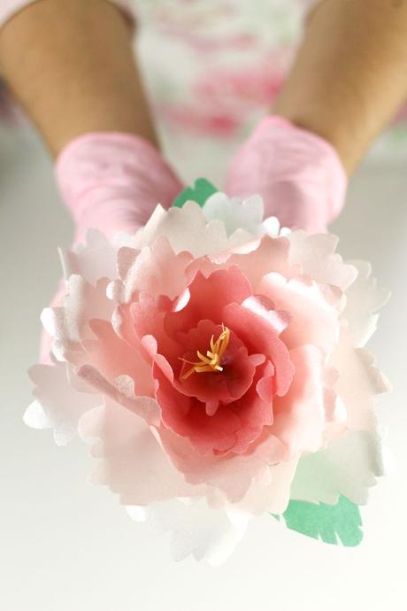 28 tutoriales sencillos de flores de papel arroz 28 tutoriales sencillos de flores de papel arroz