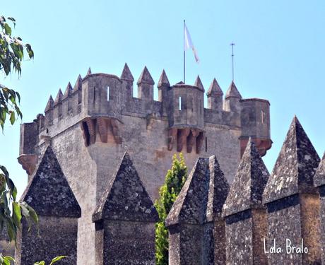 CASTILLO DE ALMODOVAR DEL RIO,  VIGIA DEL GUADALQUIVIR.