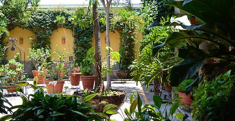 Casa de los Patios Hotel & Spa Casa de los Patios, hotel con tradición en Sayula