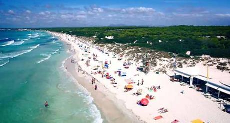 Morir de éxito Morir de éxito